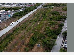 Terreno en Venta en Alianza Real General Escobedo