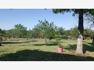 Terreno en Venta en Los Fresnos Montemorelos