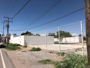 Terreno en Renta en La Concha Torreón