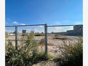 Terreno en Renta en Ampliación Senderos Torreón