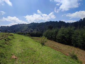 TERRENO RUSTICO EN BARBECHOS , VILLA DEL CARBÓN