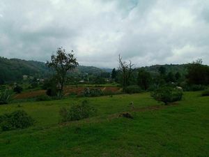 TERRENO EN LLANO DE ZACAPEXCO