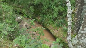 Venta de Terreno en Fracc. Campestre lt. 76, Villa del Carbón