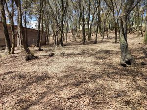 VENTA DE TERRENO RUSTICO EN SAN MARTIN CACHIHUAPAN, VILLA DEL CARBON