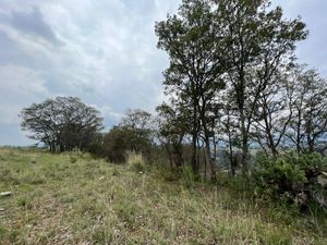 TERRENO RUSTICO EN EL PALOMAR, VILLA DEL CARBON