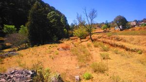 Terreno  rumbo a la presa del llano de Zacapexco