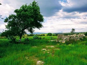 TERRENO EN LA ESCALERA, VILLA DEL CARBÓN