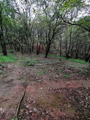 TERRENO EN SAN MARTÍN CACHIHUAPAN VILLA DEL CARBÓN