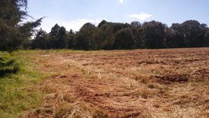 VENDO TERRENO EN LOMA DE LA HACIENDA VILLA DEL CARBON