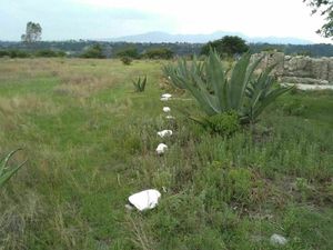 TERRENO EN LA ESCALERA, VILLA DEL CARBÓN