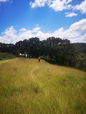 TERRENO EN ORATORIOS, VILLA DEL CARBÓN