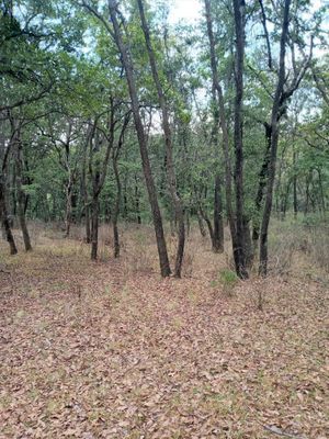 TERRENO EN LOS GONZÁLEZ VILLA DEL CARBÓN