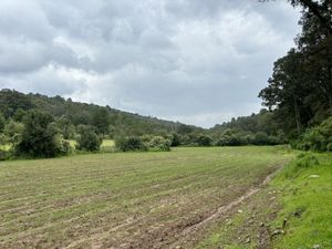 TERRENO EN LOMA DE DON JUAN, VILLA DEL CARBÓN