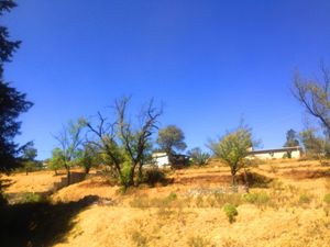 Terreno en la cercanía de la Presa número Uno