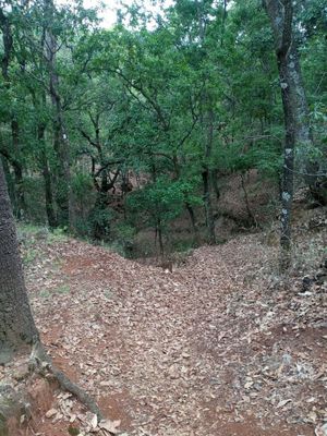 TERRENO EN LOS GONZÁLEZ VILLA DEL CARBÓN