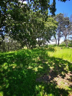 TERRENO EN ORATORIOS, VILLA DEL CARBÓN