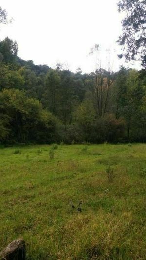 TERRENO EN SAN MARTIN CACHIHUAPAN, VILLA DEL CARBON