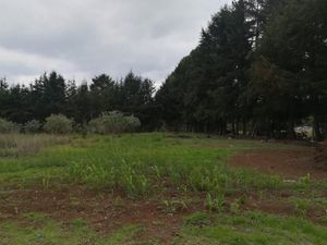 TERRENO EN LOMA DE HACIENDA (LOS ALANICES)