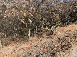 TERRENO EN MORAS,VILLA DEL CARBÓN