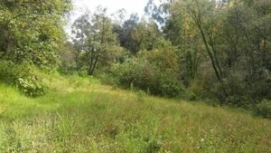 TERRENO EN SAN MARTIN CACHIHUAPAN, VILLA DEL CARBON