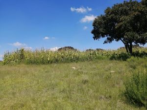 VENTA TERRENO EN POTRERO LARGO,  VILLA DEL CARBÓN