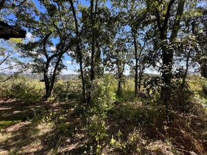 VENTA TERRENO EN LOS TEMAZCALES VILLA DEL CARBÓN