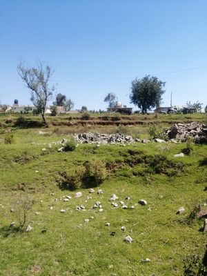 Terreno  rumbo a la presa del llano de Zacapexco