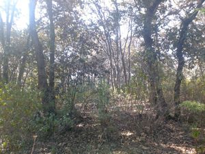 TERRENO EN LOMA DE TROJES, VILLA DEL CARBON