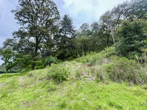 TERRENO EN LOMA DE DON JUAN, VILLA DEL CARBÓN