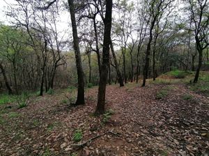 TERRENO EN SAN MARTÍN CACHIHUAPAN VILLA DEL CARBÓN