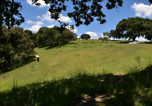 TERRENO EN ORATORIOS, VILLA DEL CARBÓN