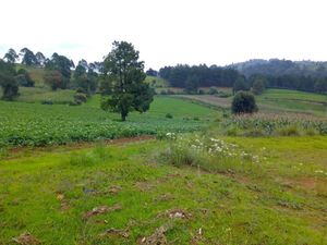 TERRENO RUSTICO, EN EL AGUILA, VILLA DEL CARBON