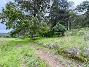 TERRENO EN LOMA DE DON JUAN, VILLA DEL CARBÓN