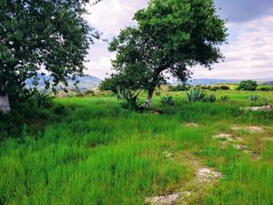 TERRENO EN LA ESCALERA, VILLA DEL CARBÓN