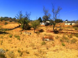 Terreno en la cercanía de la Presa número Uno