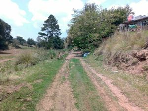 TERRENO RUSTICO EN SAN SEBASTIAN, BUENOS AIRES, SAN BARTOLO MORELOS