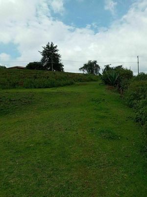 TERRENO EN LLANO DE ZACAPEXCO