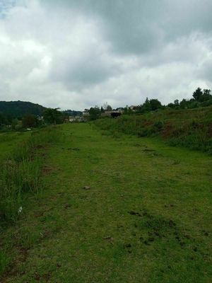 TERRENO EN LLANO DE ZACAPEXCO