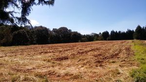 VENDO TERRENO EN LOMA DE LA HACIENDA VILLA DEL CARBON