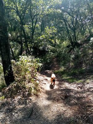 VENDO TERRENO EN VILLA DEL CARBON