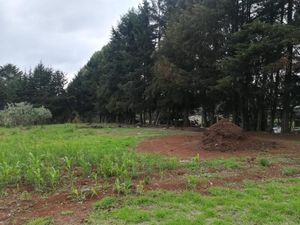 TERRENO EN LOMA DE HACIENDA (LOS ALANICES)