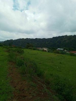 TERRENO EN LLANO DE ZACAPEXCO