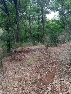 TERRENO EN LOS GONZÁLEZ VILLA DEL CARBÓN