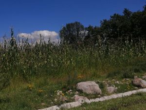 VENTA TERRENO EN POTRERO LARGO,  VILLA DEL CARBÓN