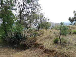 VENTA TERRENO EN EL ÁGUILA, VILLA DEL CARBÓN