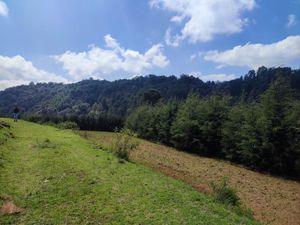 TERRENO RUSTICO EN BARBECHOS , VILLA DEL CARBÓN