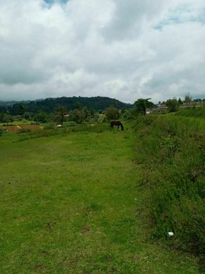 TERRENO EN LLANO DE ZACAPEXCO