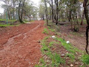 TERRENO EN SAN MARTÍN CACHIHUAPAN VILLA DEL CARBÓN