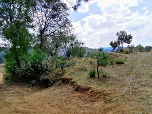 VENTA TERRENO EN EL ÁGUILA, VILLA DEL CARBÓN