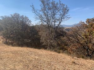 TERRENO EN MORAS,VILLA DEL CARBÓN